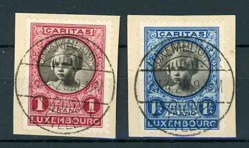 Luxemburg 195 196 gestempelt #IU680