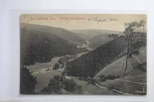 AK Bad Lauterberg / Harz Luttertal vom Hausberg 1913 #PI795