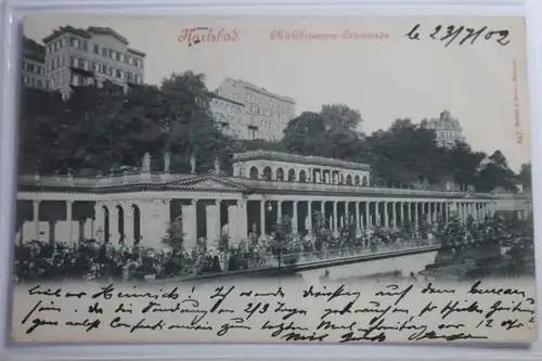 AK Karlsbad Mühlbrunnen-Cotonnade 1902 #PJ486