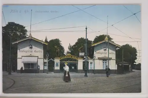 AK Köln am Rhein Zoologischer Garten #PJ826