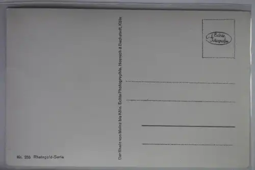 AK Köln am Rhein im Scheinwerferlicht Nr. 3 #PJ934