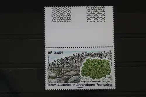 Französische Gebiete in der Antarktis (TAAF) 799 postfrisch #WD778