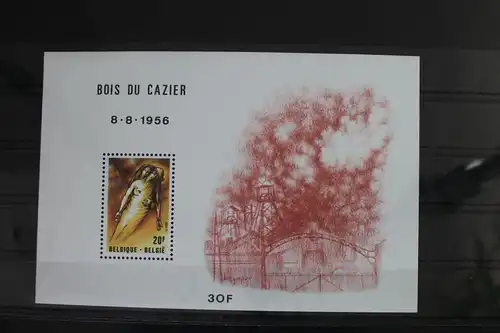 Belgien Block 51 mit 2070 postfrisch #WP888