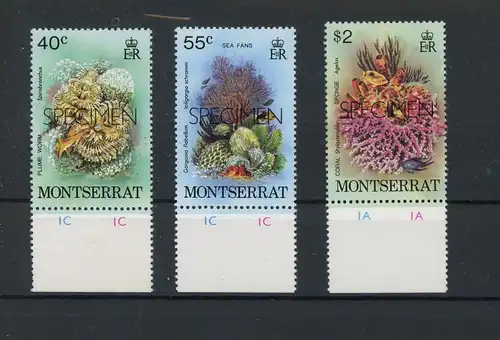 Montserrat 410-413 + Aufdruck "SPECIMEN" postfrisch Meerestiere #IJ450