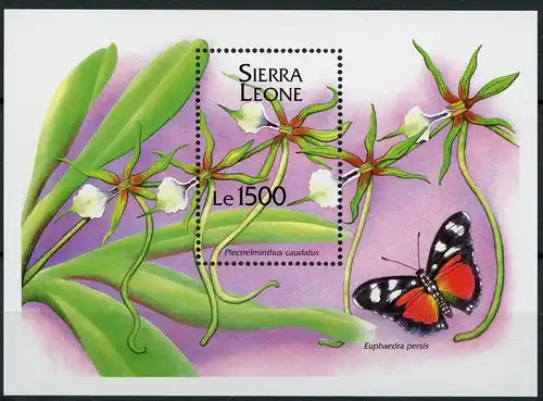 Sierra Leone Block 251 postfrisch Schmetterling, Orchidee #1D039