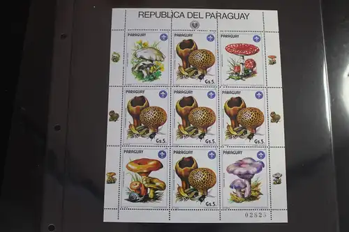 Paraguay 3841 postfrisch als Kleinbogen #WV866