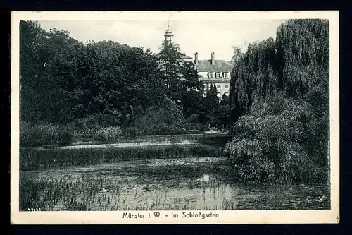 AK Münster/ Westfalen Schloßgarten 1917 #HB497