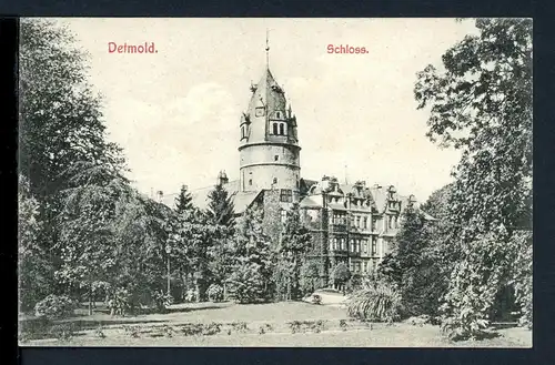 AK Detmold Fürstliches Residenzschlß um 1900 #HC390