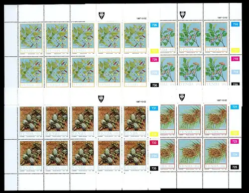 Venda Kleinbögen 163-166 postfrisch Pflanzen #HE577