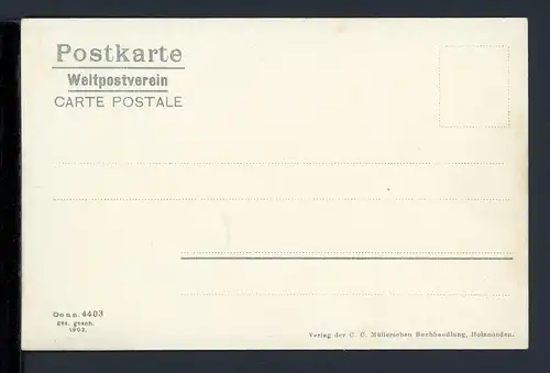 AK Neuhaus - Landkreis Holzminden Totalansicht um 1900 #HE517