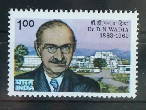 Indien 1003 postfrisch #FA666