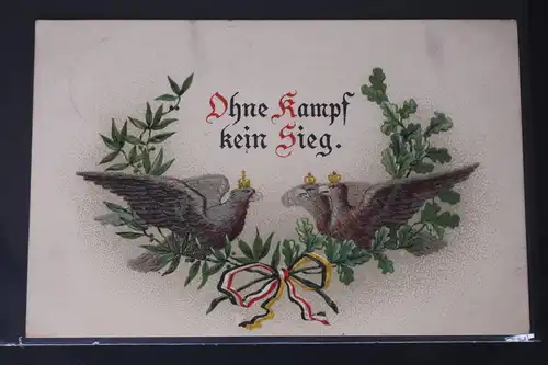 AK Deutschland Ohne Kampf kein Sieg. Kriegsgedenkkarte 1916 #PL545