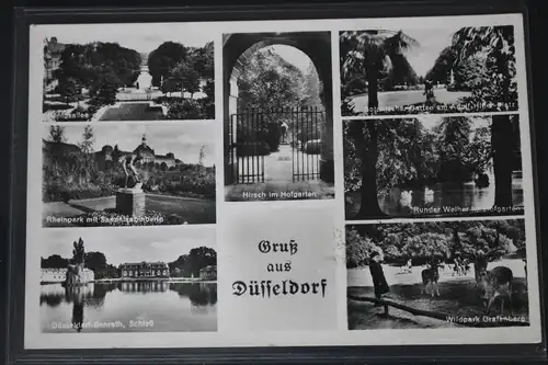 AK Düsseldorf Mehrbildkarte (Königsallee, Wildpark usw.) 1949 #PL643