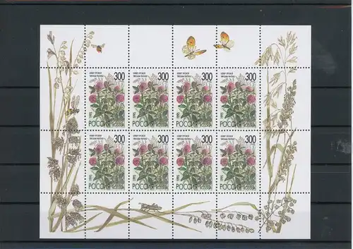 Russland Klb. 437 postfrisch Blumen #Schm1486