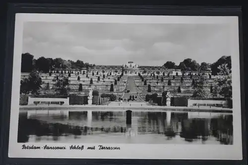 AK Potsdam Sanssouci - Schloss mit Terrassen 1956 #PM001