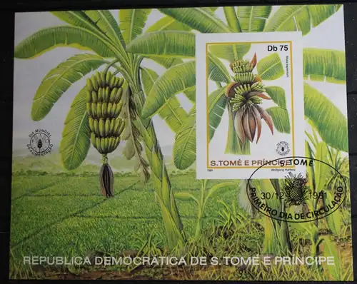 São Tomé und Príncipe Block 79 gestempelt #FN649