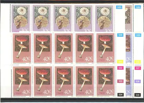 Ciskei Zehnerbogen 145-148 postfrisch Pilze #1G106