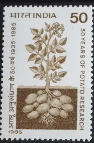 Indien 1018 postfrisch #FY077