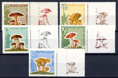 Sowjetunion 2983-2987 y Zf postfrisch Pilze #1H317