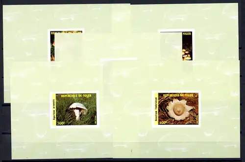 Niger Einzelblocks mit 962-966 B postfrisch Pilze #1H353