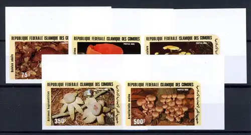Komoren 762-766 B postfrisch Pilze #1H339