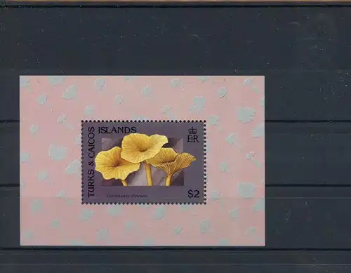 Turks und Caicos Inseln Block 105 postfrisch Pilze #1G254