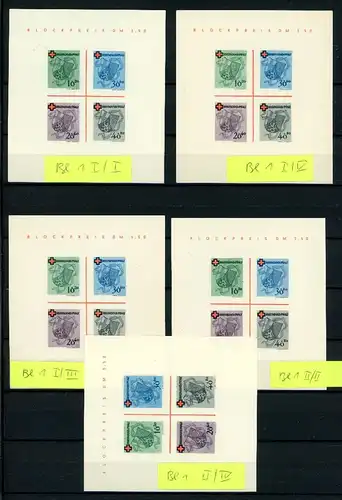 Fr. Zone Rheinland-Pfalz Block 1 I-V postfrisch #GM923