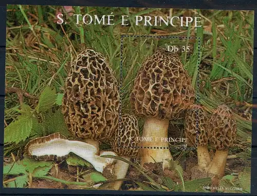 Sao Tomé Principe Block 173 postfrisch Pilze #1G181
