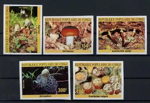 Kongo Brazza. 1016-1020 B postfrisch Pilze #1G234