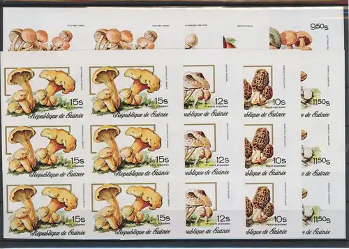 Guinea Sechserblock 759-766 B postfrisch Pilze #1G351