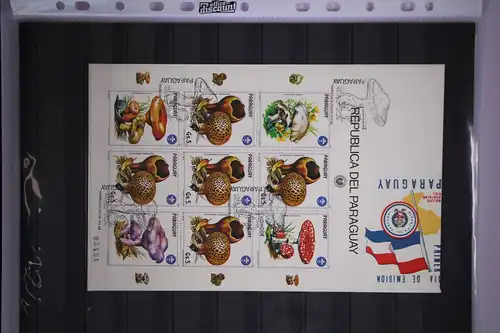 Kleinbogen Paraguay 3841 gestempelt als FDC #GC035