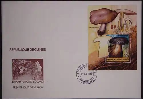 Guinea Block 128 gestempelt als FDC / Pilze #GC106