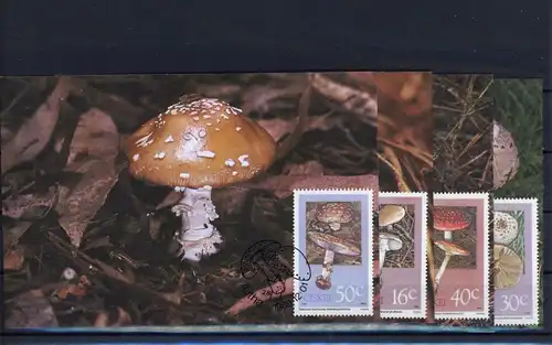 Ciskei 145-148 Pilze Maximumkarte #1G460