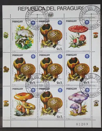 Paraguay Kleinbogen 3841 gestempelt Pilze #GC311
