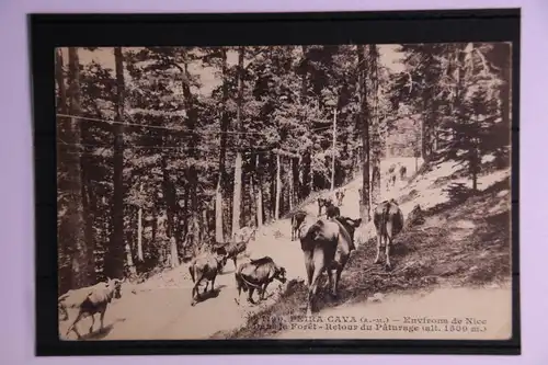 Frankreich Postkarte mit Stempel Olympische Spiele 1920 #GF573