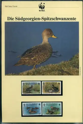 Südgeorgien und Süd-Sandwich-Inseln 1992 Enten WWF #GI403