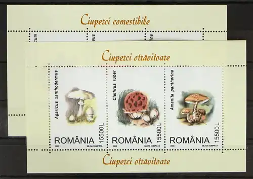Rumänien Block 332 und 333 postfrisch Pilze #GH257
