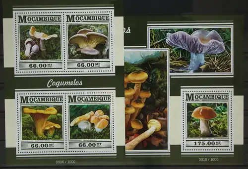 Mosambik 7989-7992 und Block 1038 postfrisch Kleinbogen / Pilze #GG171