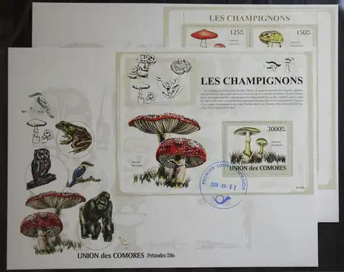 Komoren 2079-2084 und Block 469 gestempelt Kleinbogen / als FDC #GG381