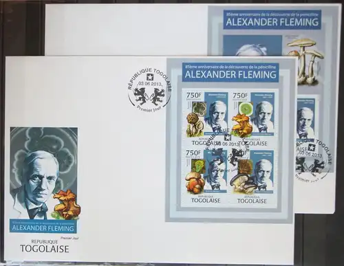 Togo 4966-4969 und Block 812 gestempelt Kleinbogen / als FDC #GG247