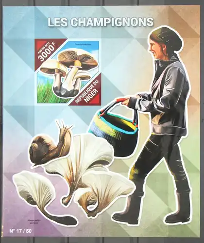 Niger Block 476 postfrisch Pilze #GG197