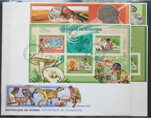 Guinea 4362-4364 gestempelt Kleinbogen und Einzelblöcke / als FDC #GG451