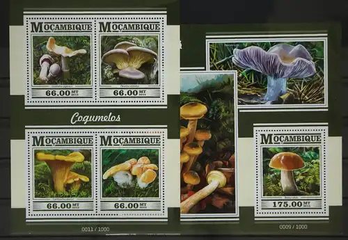 Mosambik 7989-7992 und Block 1038 postfrisch Kleinbogen / Pilze #GG170