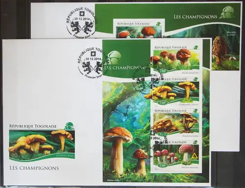 Togo 6391-6394 und Block 1096 gestempelt Kleinbogen / als FDC #GG241