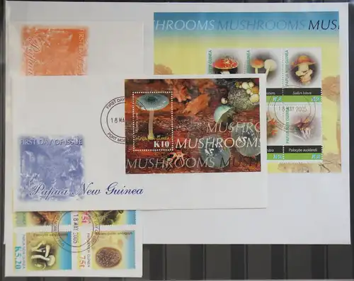 Papua Neuguinea 1129-1132 und Block 33 und 34 gestempelt als FDC / Pilze #GG325