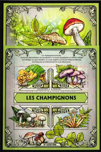 Niger 3972-3975 und Block 499 postfrisch Kleinbogen / Pilze #HP019