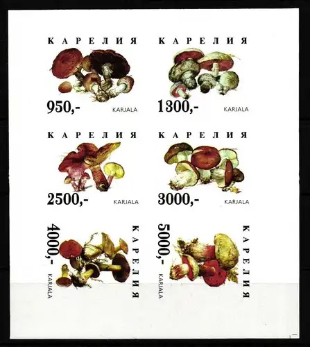 Russland Karelien Vignette B postfrisch Pilze #HQ251