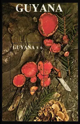 Guyana Block 37 postfrisch Pilze #HQ682