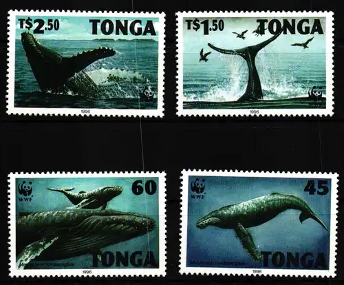 Tonga 1400-1403 postfrisch WWF #HQ599