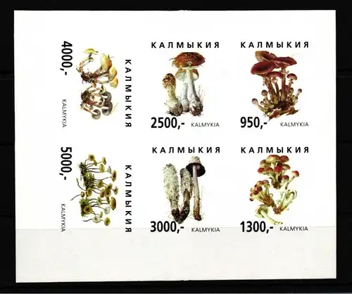 Russland Kalmykien Vignette B postfrisch Pilze #HQ201